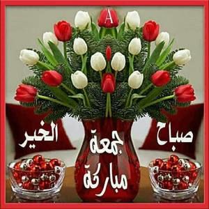 Meet your Posher, Sadia